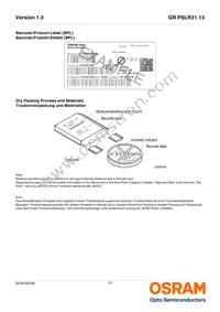 GR PSLR31.13-GRGT-R1R2-1 Datasheet Page 17