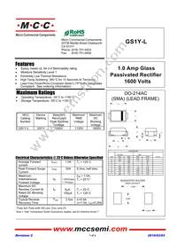 GS1Y-LTP Datasheet Cover