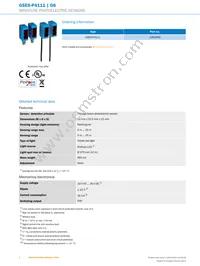 GSE6-P4111 Datasheet Page 2