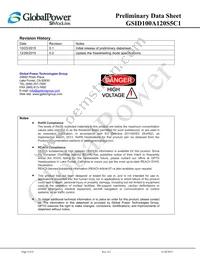GSID100A120S5C1 Datasheet Page 9