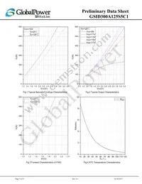 GSID300A125S5C1 Datasheet Page 5