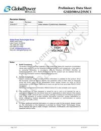 GSID300A125S5C1 Datasheet Page 9