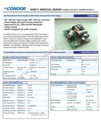 GSM11-28AAG Datasheet Cover