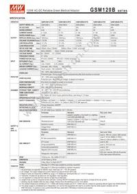 GSM120B20-R7B Datasheet Page 2