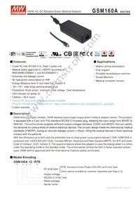 GSM160A20-R7B Datasheet Cover