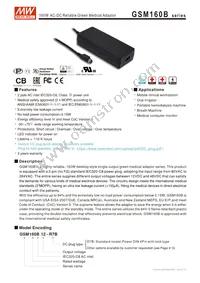 GSM160B20-R7B Datasheet Cover