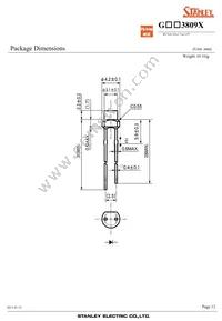 GSW3809X Datasheet Page 12