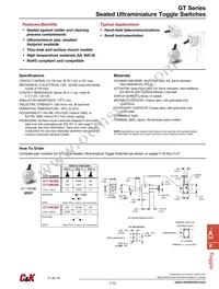 GT21MV3BE Datasheet Cover