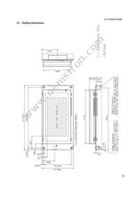 GU128X64-800B Datasheet Page 21