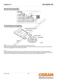 GW CS8PM1.PM-LRLT-XX54-1 Datasheet Page 20