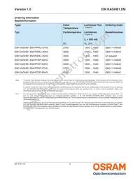 GW KAGHB1.EM-RTSP-65H3 Datasheet Page 2