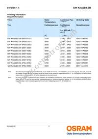 GW KAGJB3.EM-SRSS-27S3-T02-M Datasheet Page 2