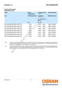 GW KAGJB3.EM-SSST-40S3-T02-M Datasheet Page 2