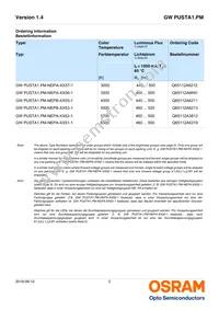 GW PUSTA1.PM-NEPA-XX56-1-1050-R18 Datasheet Page 2