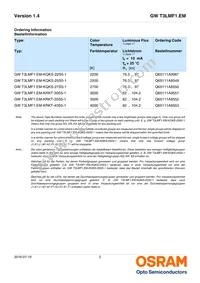 GW T3LMF1.EM-KRKT-40S5-1 Datasheet Page 2