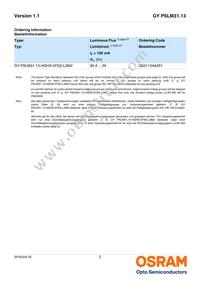 GY PSLM31.13-HQHS-5F5G-L2M2-100-R18 Datasheet Page 2