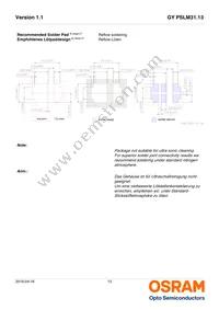 GY PSLM31.13-HQHS-5F5G-L2M2-100-R18 Datasheet Page 13