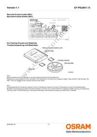 GY PSLM31.13-HQHS-5F5G-L2M2-100-R18 Datasheet Page 17