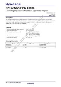 HA1630Q03TELL-E Datasheet Page 3