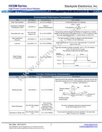 HCSM2818FT20L0 Datasheet Page 2