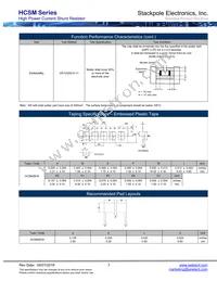 HCSM2818FT20L0 Datasheet Page 3