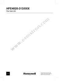 HFE4020-313/BBA Datasheet Page 4