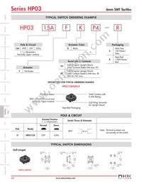 HP0315AFKP2-S Datasheet Page 3