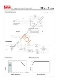 HSG-70-48 Datasheet Page 2