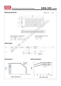 HSN-300-5B Datasheet Page 2