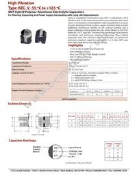 HZC107M050G24VT-F Datasheet Cover