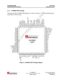 IA188EM-PQF100I-R-03 Datasheet Page 19