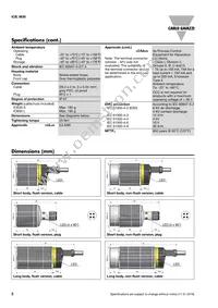 ICB30S30N22PO Datasheet Page 2