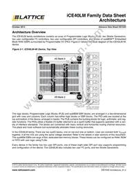 ICE40LM2K-CM49 Datasheet Page 4