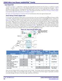 ICE65L08F-TCS110I Datasheet Page 14