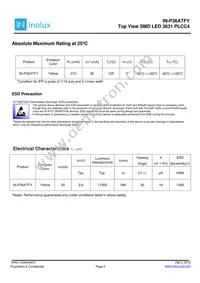 IN-P36ATFY Datasheet Page 2