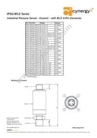 IPSU-C0447-6M12 Datasheet Page 2