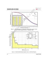 IRAM109-015SD Datasheet Page 12