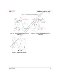 IRAM109-015SD Datasheet Page 13