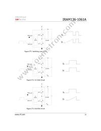 IRAM136-1061A Datasheet Page 15