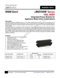 IRAM256-1067A2 Datasheet Cover