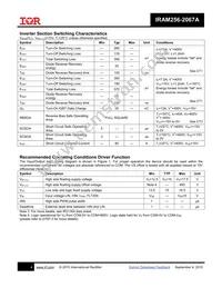 IRAM256-2067A2 Datasheet Page 4