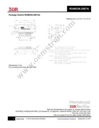 IRAM256-2067A2 Datasheet Page 17