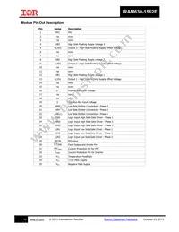 IRAM630-1562F2 Datasheet Page 10