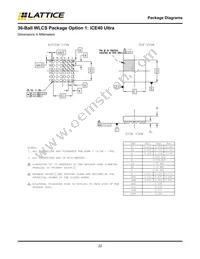 ISPGDX80VA-9TN100I Datasheet Page 22