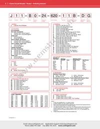 J61-B0-24-620-K3C-D3 Datasheet Page 3