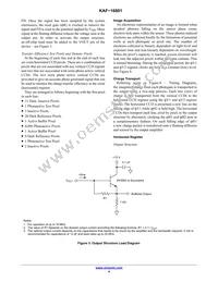 KAF-16801-AAA-DP-B1 Datasheet Page 4