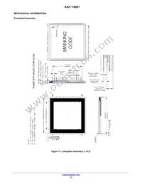 KAF-16801-AAA-DP-B1 Datasheet Page 14