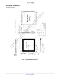 KAF-16803-ABA-DP-BA Datasheet Page 19