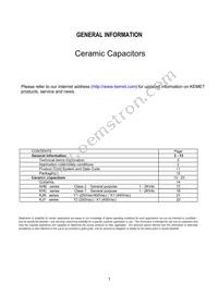 KJN222MS51FAAAA Datasheet Page 3