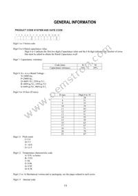 KJN222MS51FAAAA Datasheet Page 13